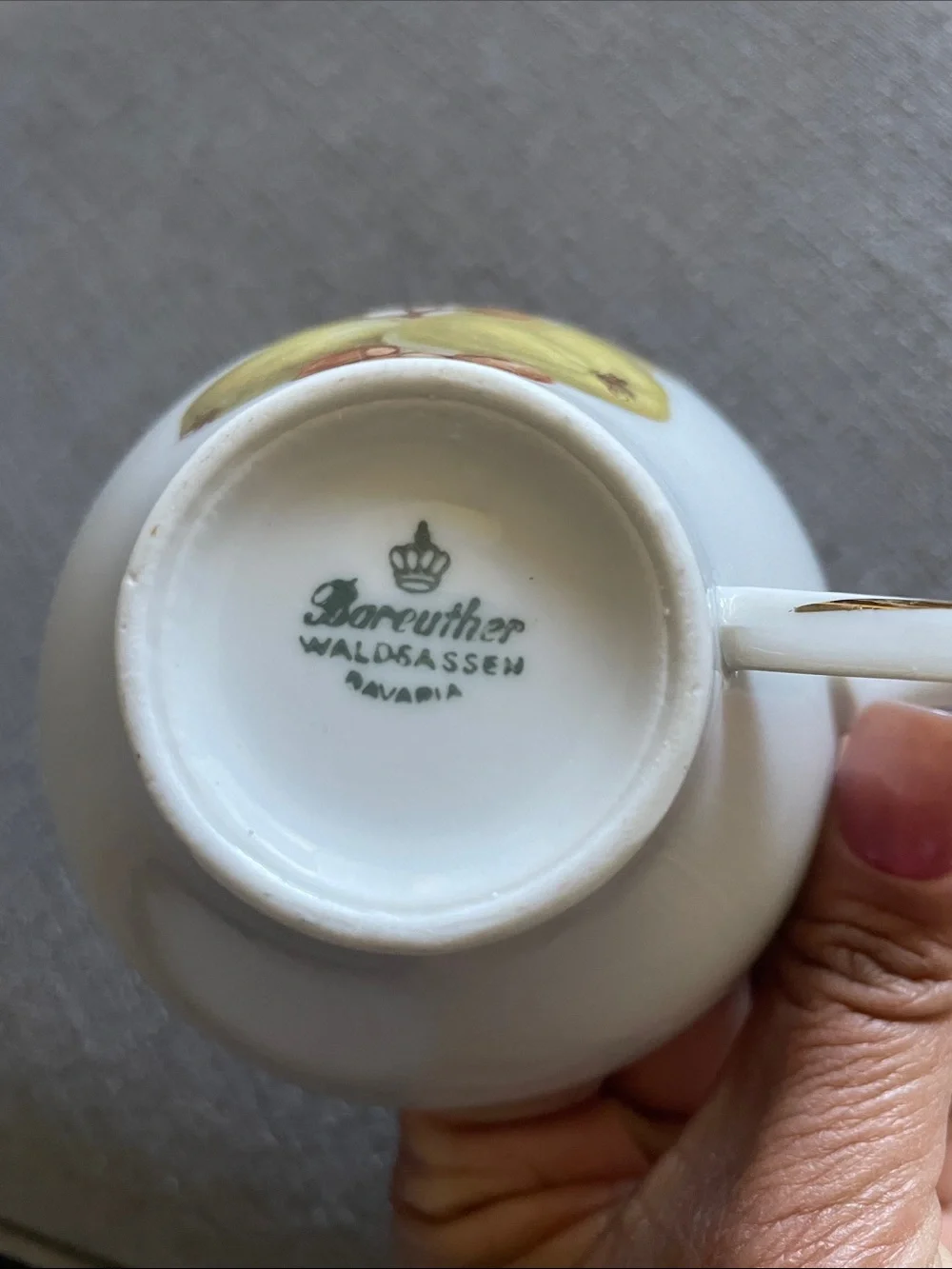 Bareuther Waldsassen Bavarian  Teacup and Saucer Set Fruit design and Gold Trim